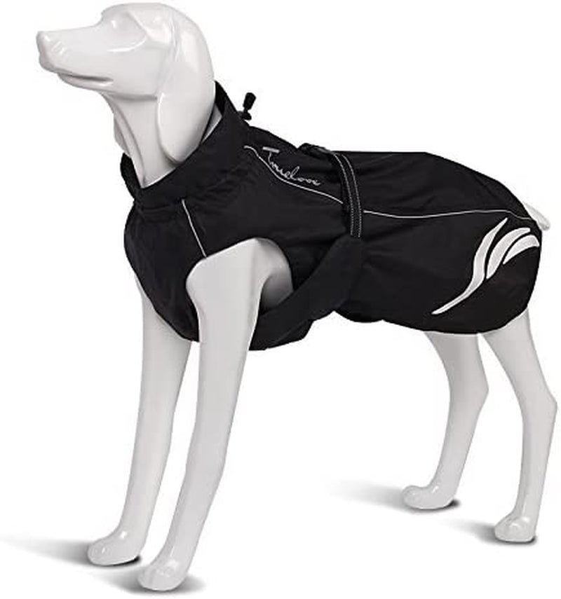 Mt. Tallac Winter Dog Coat - Premium Black Technical Jacket for Size 22" (55cm) Dogs