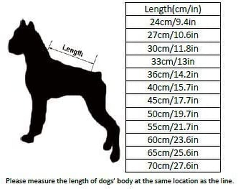 Mt. Tallac Winter Dog Coat - Premium Black Technical Jacket for Size 22" (55cm) Dogs