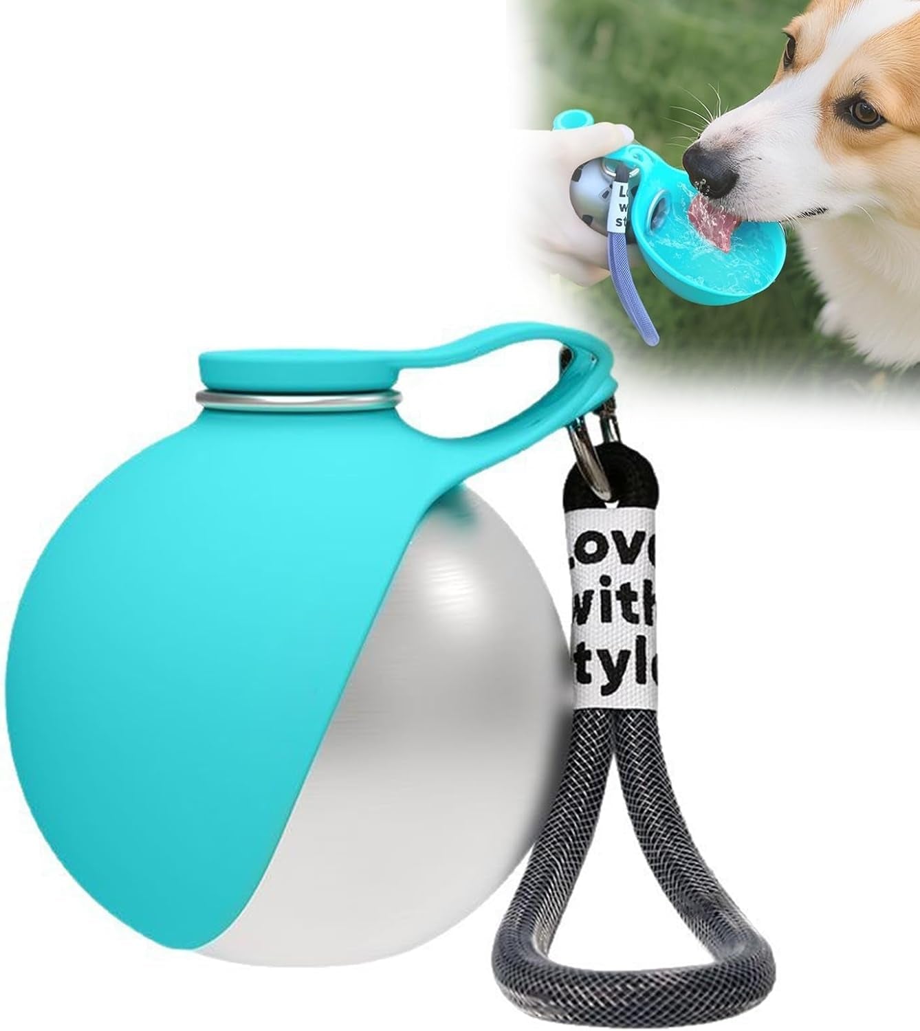 Portable 2-in-1 Stainless Steel Dog Water Bottle with Foldable Silicone Bowl - Perfect for Walks and Hikes (285ml, Blue)