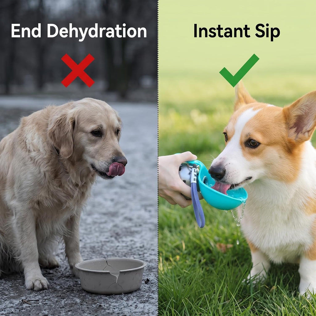 Portable 2-in-1 Stainless Steel Dog Water Bottle with Foldable Silicone Bowl - Perfect for Walks and Hikes (285ml, Blue)