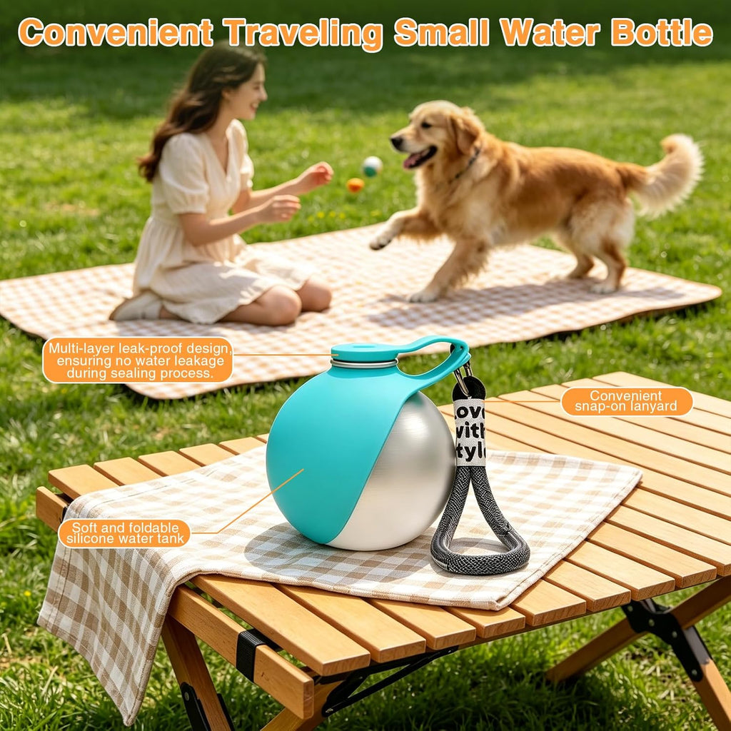 Portable 2-in-1 Stainless Steel Dog Water Bottle with Foldable Silicone Bowl - Perfect for Walks and Hikes (285ml, Blue)