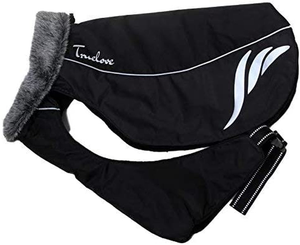 Mt. Tallac Winter Dog Coat - Premium Black Technical Jacket for Size 22" (55cm) Dogs