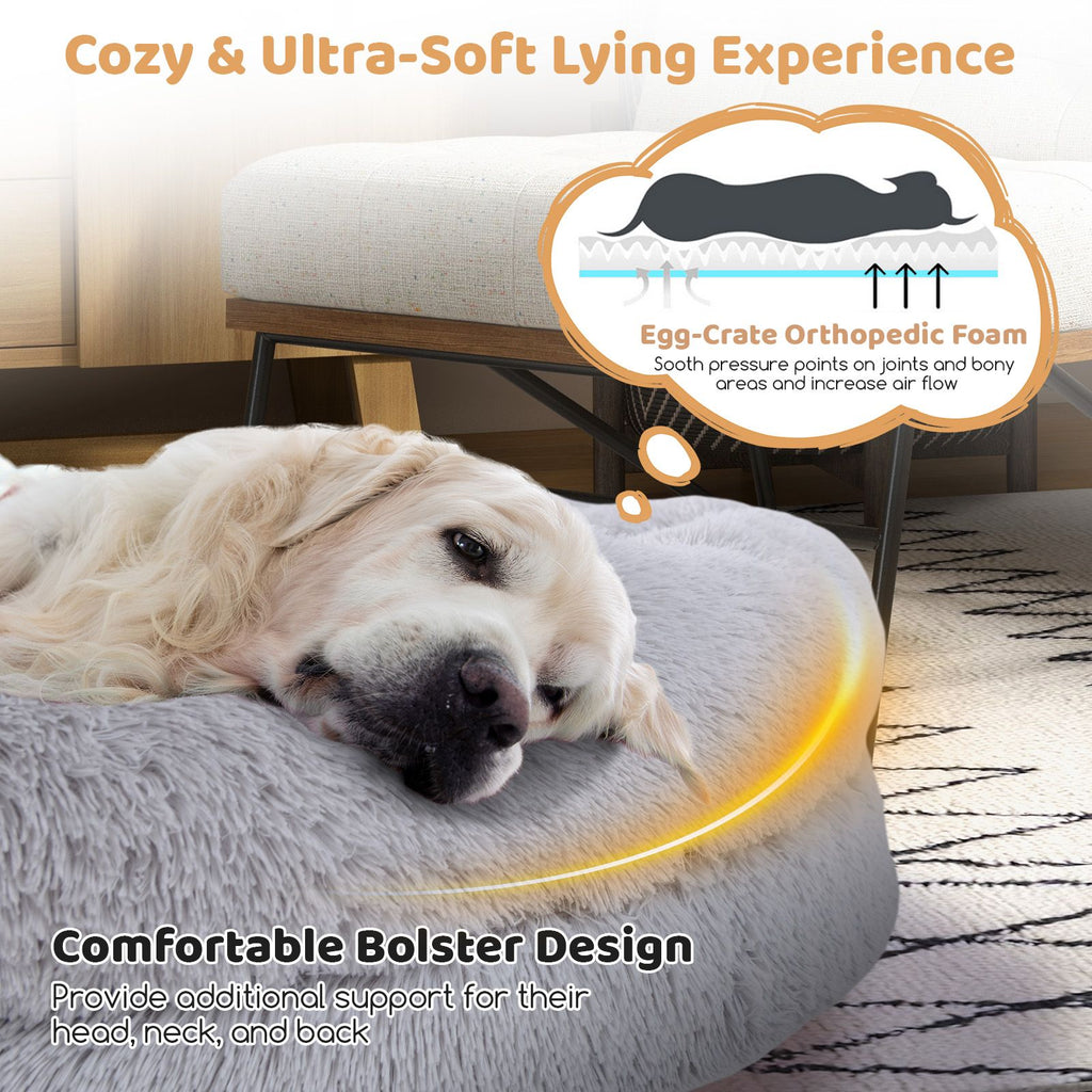 Cozy Human Dog Bed Set with Plush Blanket and Luxurious Pillow