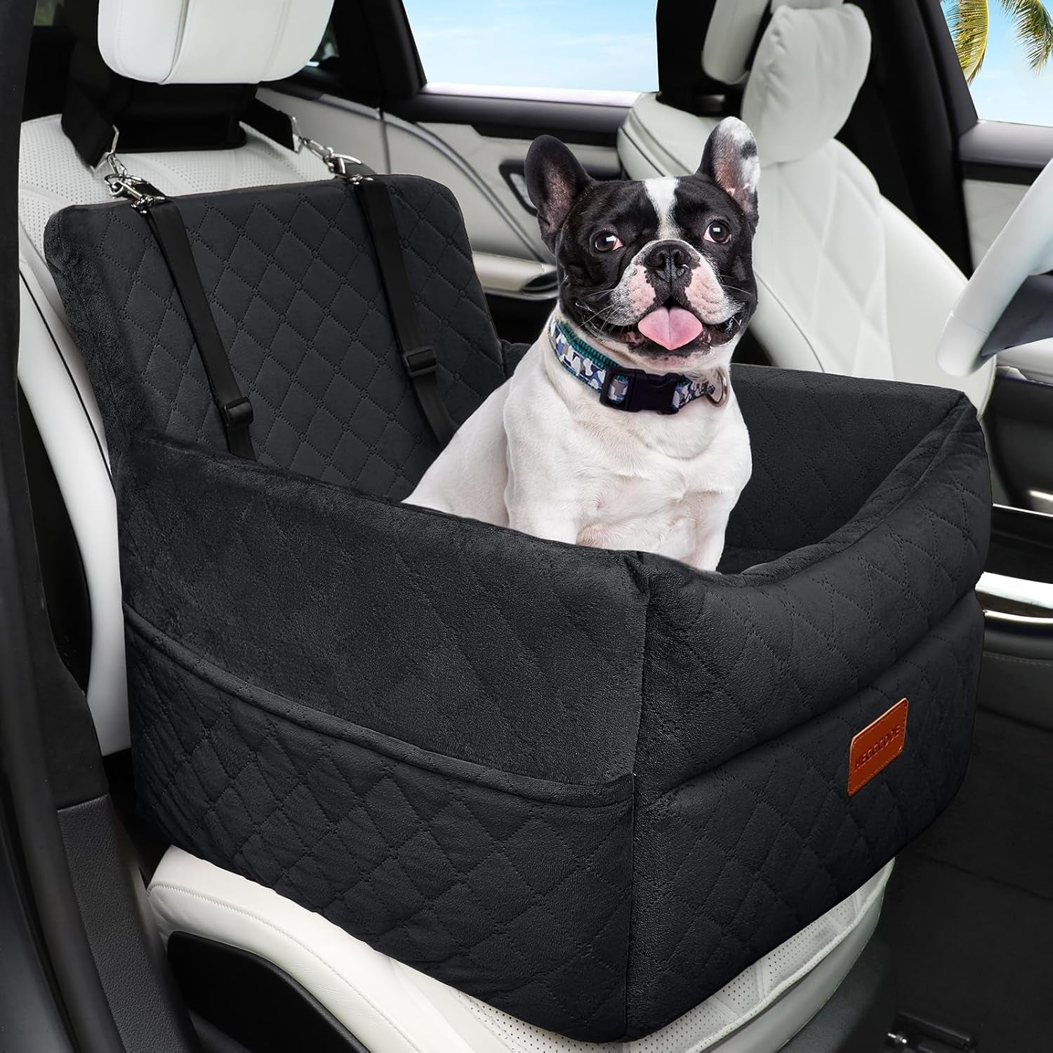Small Dog Car Seat, Memory Foam Dog Booster Seats with Thick Cushion for Medium Dogs under 35Lbs, Detachable Washable Pet Car Seat with Storage Pockets,2 Safety Belts